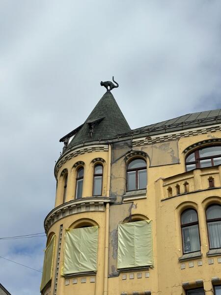 IMG_1620.jpeg.de5c23fcdbd6bdb6093b227013d54fac.jpeg