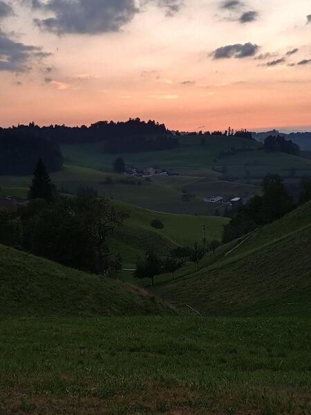 IMG_20250817_203930909_HDR.jpg.4127f450878603f96be8a0cc45dc6631.jpg