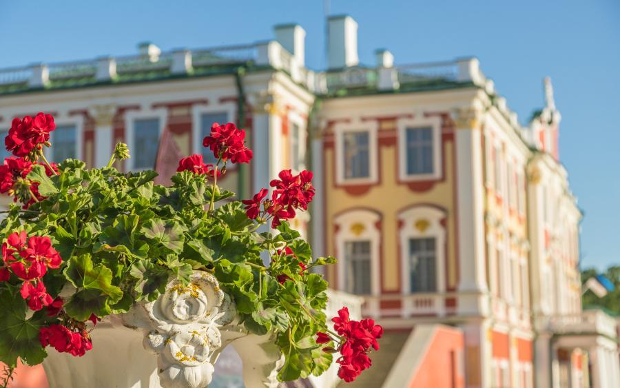 IMG_4249 Tallinn Kadriorg Art Museum.jpg