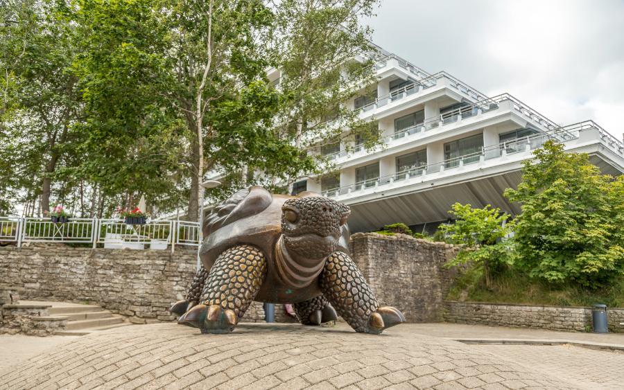 IMG_4546 Jūrmala The Turtle.jpg