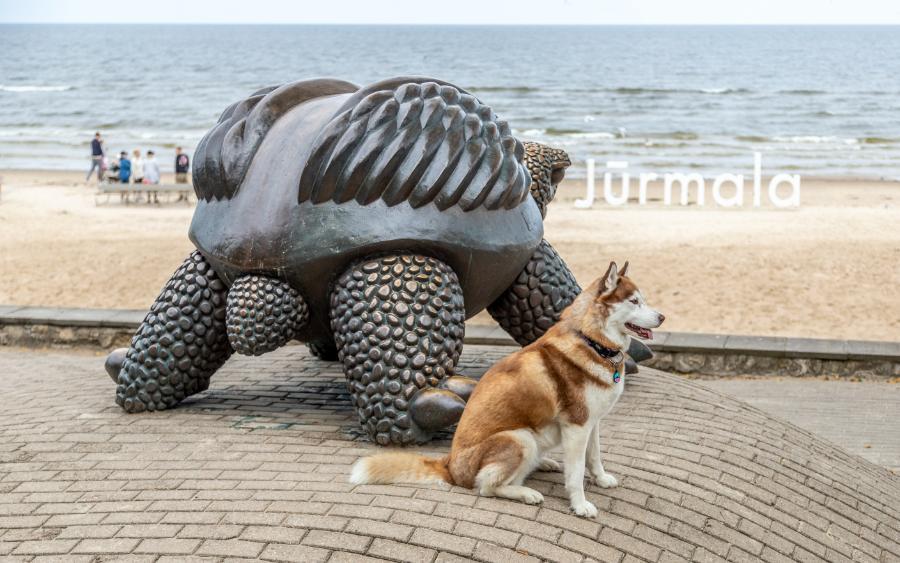 IMG_4578 Jūrmala The Turtle.jpg