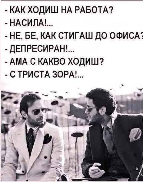 image.jpeg.01abb75d63cca931a0e41e4cc2c15303.jpeg