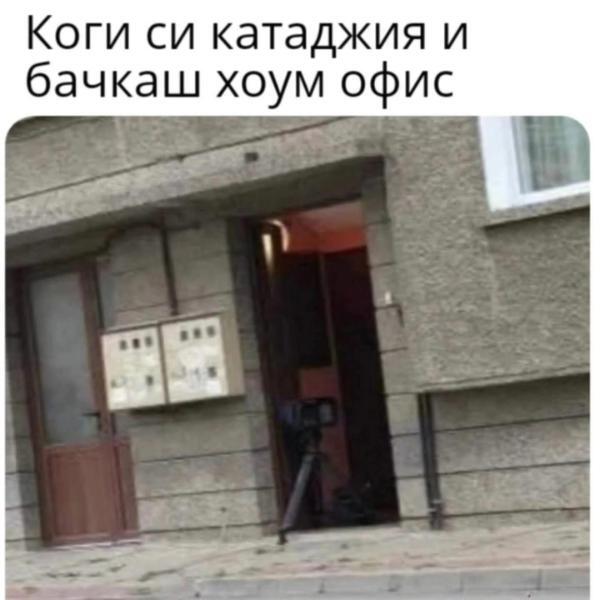 image.jpeg.2cc8093520535418802cae9130cacf21.jpeg