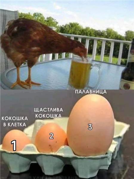 image.jpeg.4cf51c0ef48e9e08516335d3b9b43c7e.jpeg