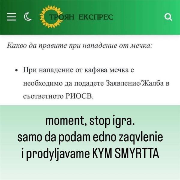 image.jpeg.4cfc9aaeec269715ce55bc6a05466aba.jpeg