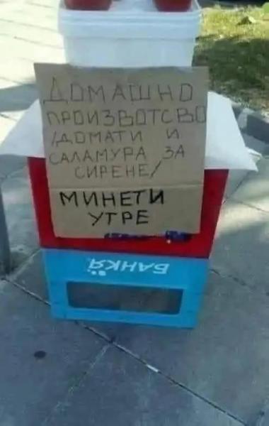 image.jpeg.aa10f4843b0e4161e8348845336287c8.jpeg