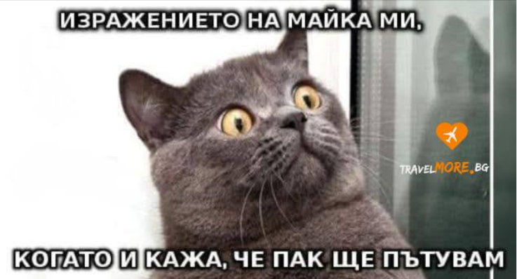 image.png.16a4a43f5762efdec1fe13ce1a1af9a1.png