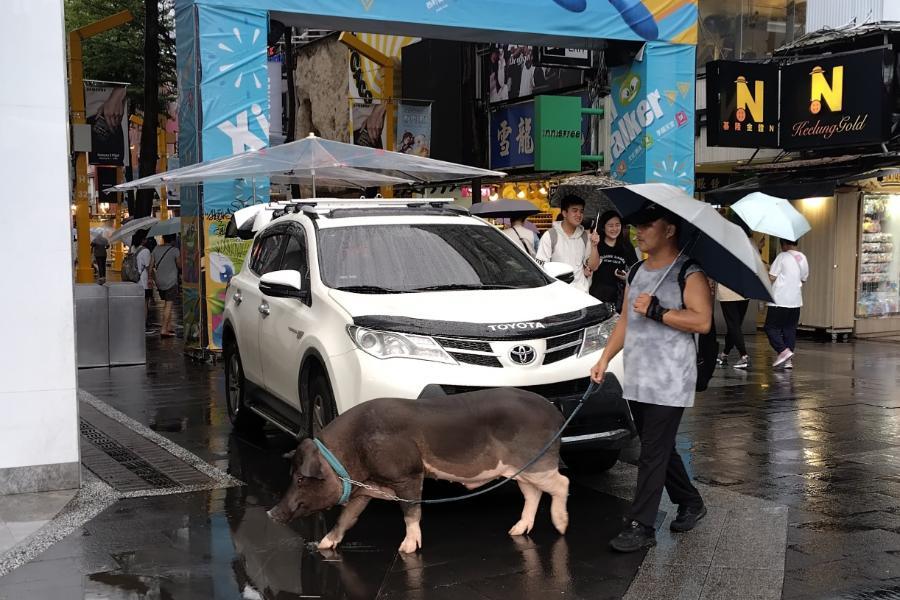 2024090219taipei.jpg.bd265d887dbeeb66dc2403df34b55f6d.jpg