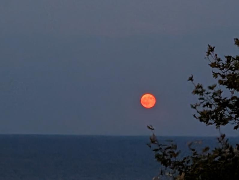 IMG-223ba10e5b814ffd168e65664d16a022-V.jpg.4b0fd8b9b8c02290ccbcd27dae2e1432.jpg