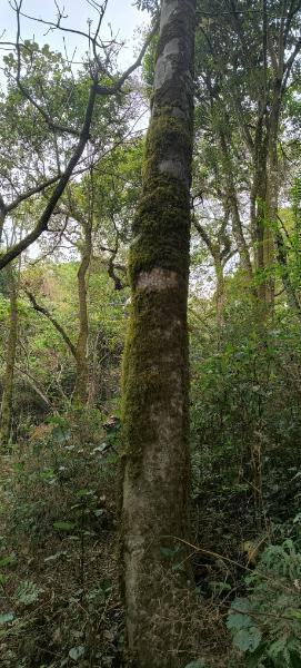 IMG_20250918_091057.jpg.bc12abc86dac5c5d1c6a142eaf146e81.jpg