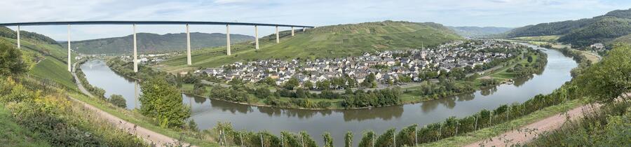 IMG_4750.jpg.0f1ad45c70a182afb2ddbeae692c06b6.jpg