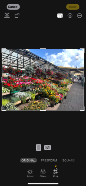IMG_7179.png.b72066d1145509807b1d00b6c75d08b2.png
