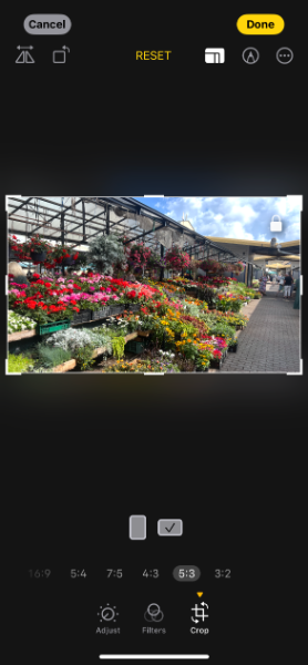IMG_7180.png.745c7df46be8d8c6d45b0c1b314e38c6.png