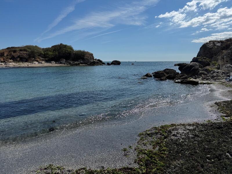 IMG_8017.jpeg