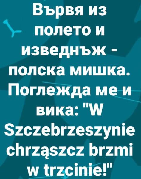 Screenshot_20250926_134708_Facebook.jpg.2667be2e4681312193b9f9fe5286fac2.jpg