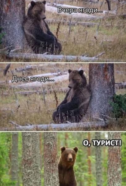 image.jpeg.4b534170187154c81f2a8991714e125e.jpeg