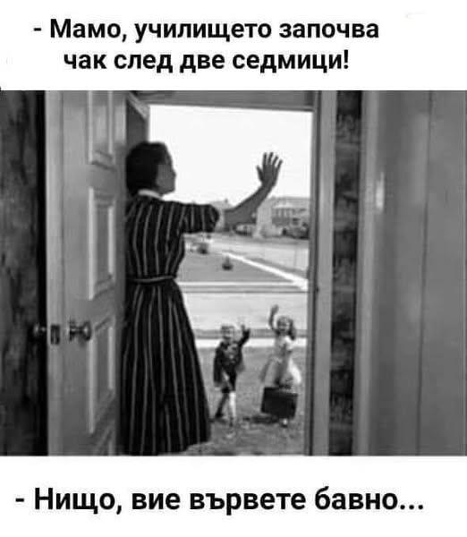 image.jpeg.a883c3994df3757b00f7132152323f2a.jpeg