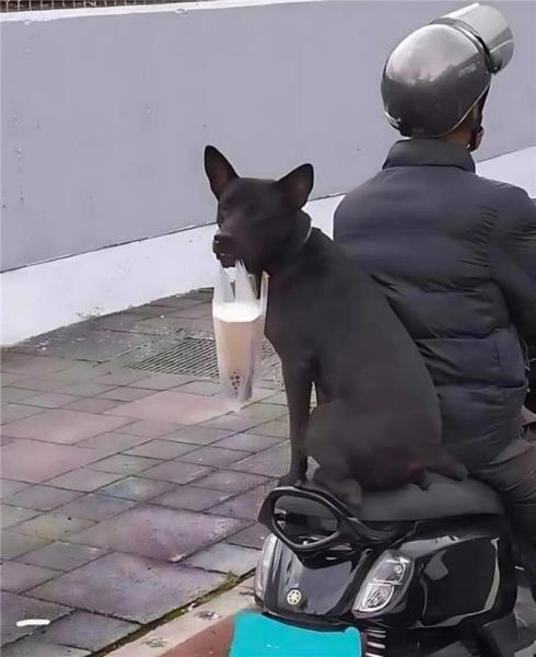 image.jpeg.b7908026b1c7b1a94010a59f215a5e56.jpeg
