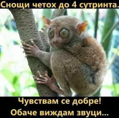 image.jpeg.bc13e4a7407c1d5b071ec1289165be24.jpeg