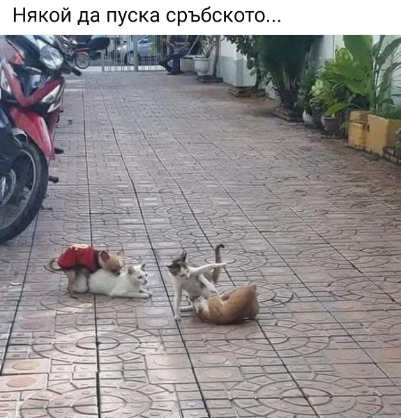 image.png.4773673488c86508f9bb645aec1bfde2.png