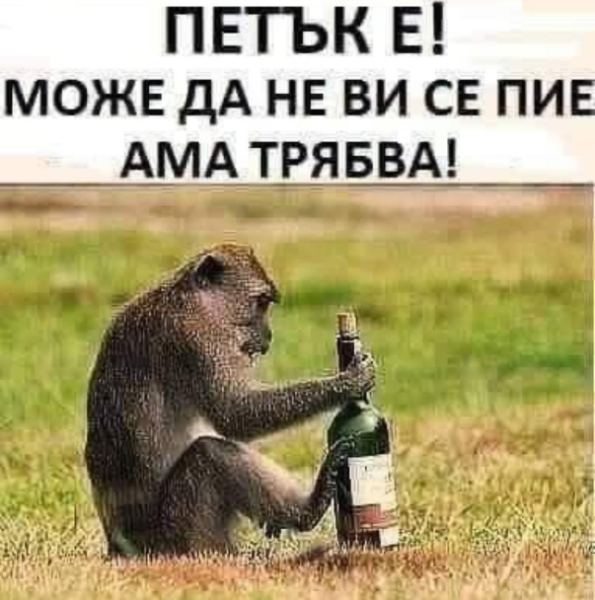 image.png.9687550b750b8fcc490331187ef05dcd.png