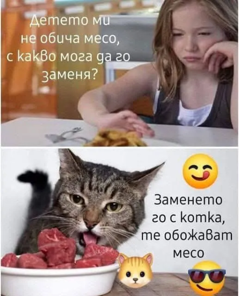 image.png.99082ee9505aa2ca7c743f8dad34f225.png