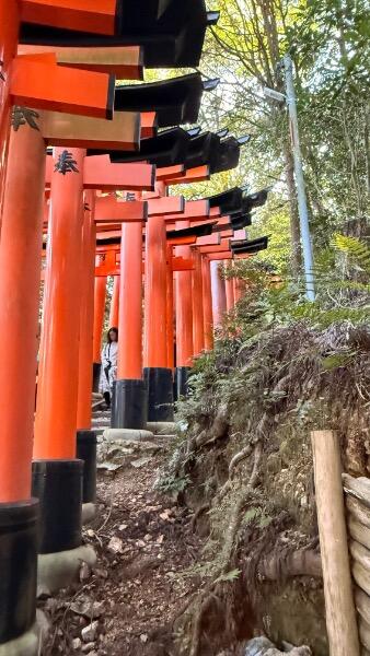 IMG_9682.jpeg.f961d5542d70d5cd2302a1e76ef05588.jpeg