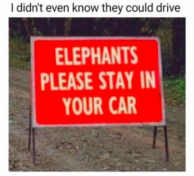 image.jpeg.0e15d3b895d7ebd06bc032793f1a2063.jpeg
