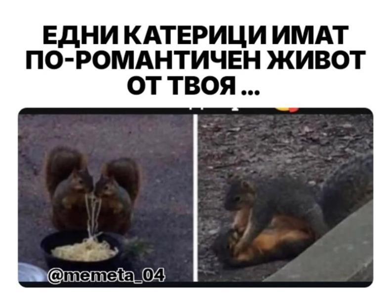 image.jpeg.4cc69d0533a92c6dd5ac59eaf67887c7.jpeg