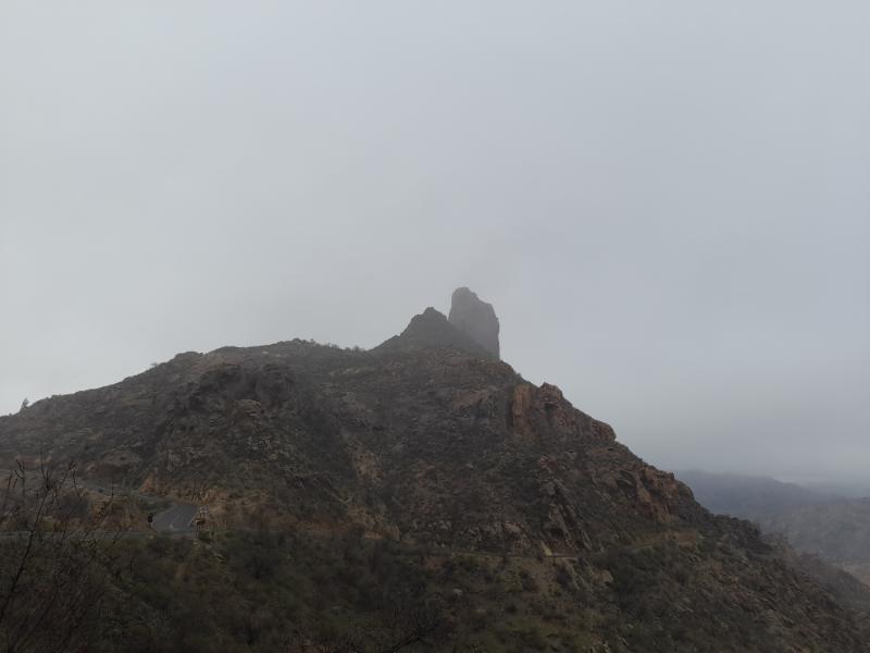 20250121_140502.jpg.a4e32e0896a57c807f6d73d0e88b2fb5.jpg