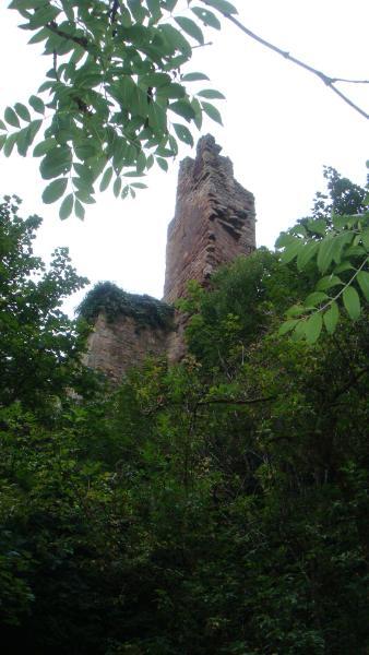 DSC04948.JPG.a30eca74f68c842adb04cdac2062b389.JPG