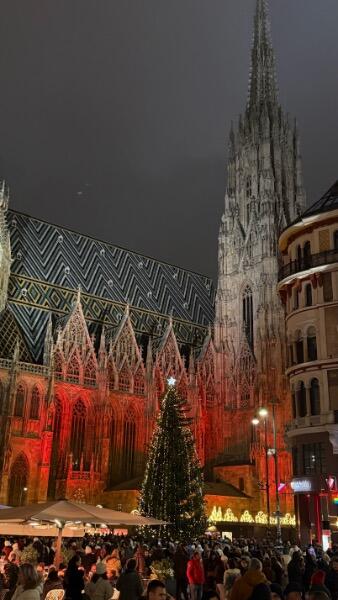IMG_1118.jpeg.adcebedf5ee8069352720d89922c65c0.jpeg