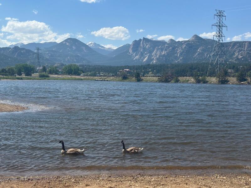 IMG_1823.jpeg.711f8fbeca077cfe3db1931fa4f8368b.jpeg