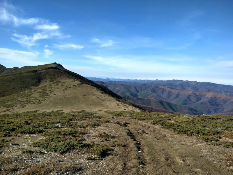 IMG_20251116_130035292_HDR.jpg.2741616bd3062c9f506b865bd55ebb1b.jpg