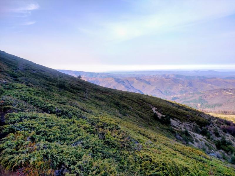 IMG_20251116_143741162_HDR2.jpg.da8832bba31037a641e81a35be7abe0b.jpg