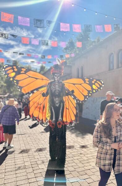 IMG_3284.jpeg.ff71f1ac532e3e420d48fa4e7f372406.jpeg