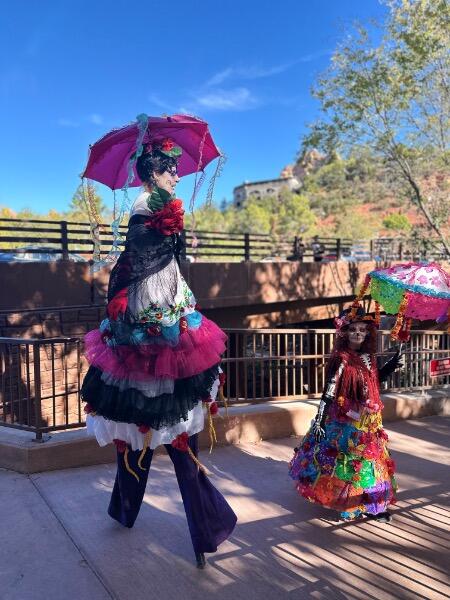 IMG_3406.jpeg.74f162460dfc7de32ac871a4f4227650.jpeg