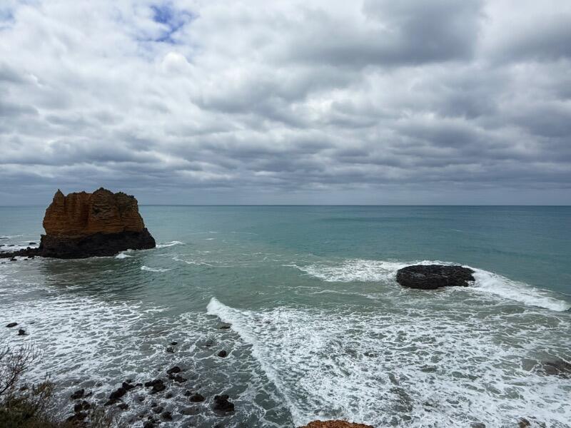 IMG_7498.jpeg
