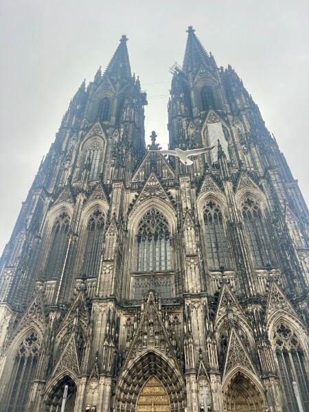 IMG_8734.jpeg.e0b339060029f9196e6475fd5c7f1d10.jpeg