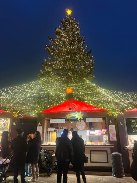 IMG_8782.jpeg.3f27d254914bc99efdbc7a12dcd5fb33.jpeg