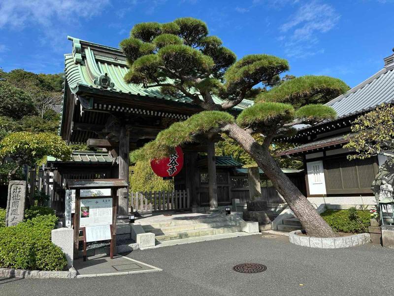 Kamakura2.jpg.5db412acfc48c8135121be134a19ae79.jpg