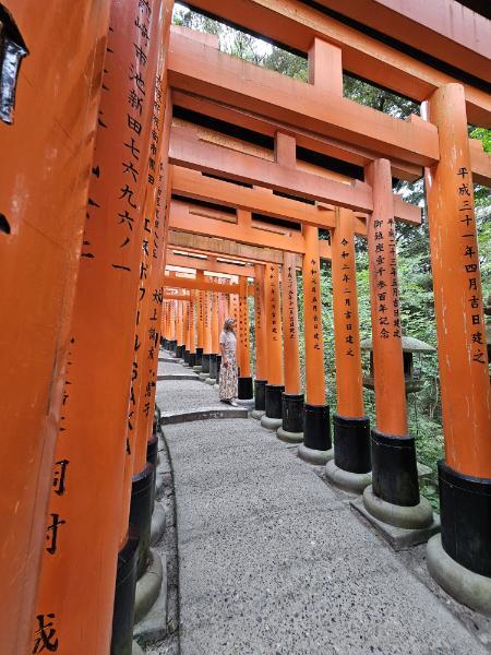 Kyoto8.jpg.718990cdb74638074f38c64a42de127b.jpg