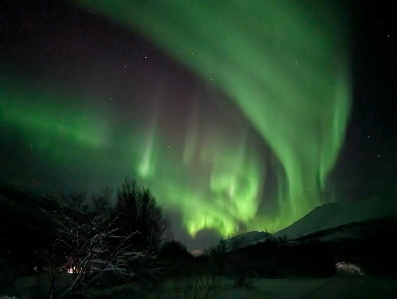 PXL_20251122_225716877.NIGHT.jpg.bc70ac787a2897f31c6237e4b9195faa.jpg