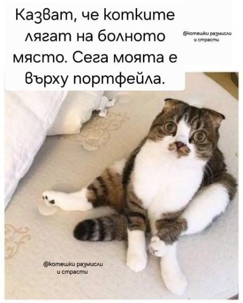597947293_898033736218983_8267348095161859624_n.jpg.8bec366acc3a028f26be570dd0c2cb0b.jpg