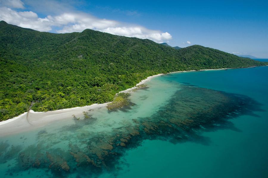 Cape-Tribulation-National-Park.jpg