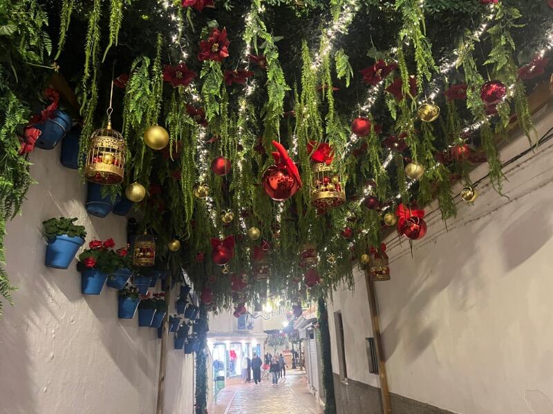 IMG_1609.jpeg.e50c063da1ce816180d9c349c3819d9c.jpeg