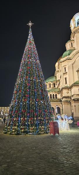 IMG_20251202_211054.jpg.f90bf3f7bc2e6724d63c7826c5309f41.jpg
