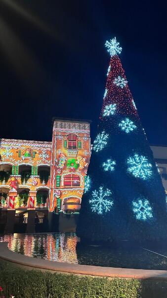IMG_3869.jpeg.3160b2cf9d23d0467d6f6e94edac346e.jpeg