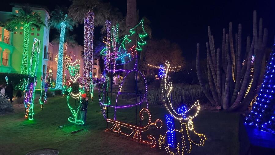 IMG_3928.jpeg.c12f8b5e54cd416afdb7597672b3d135.jpeg