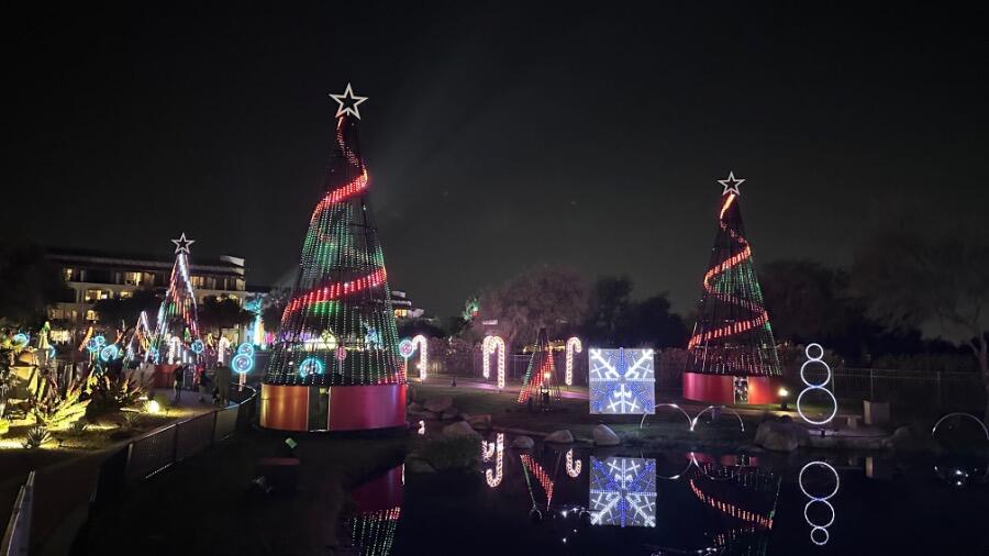 IMG_3953.jpeg.f1bbf757f0f333db1c6179b4c95b2361.jpeg